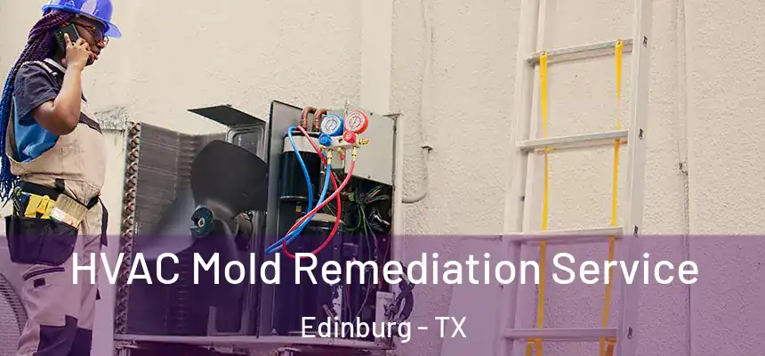  HVAC Mold Remediation Service Edinburg - TX