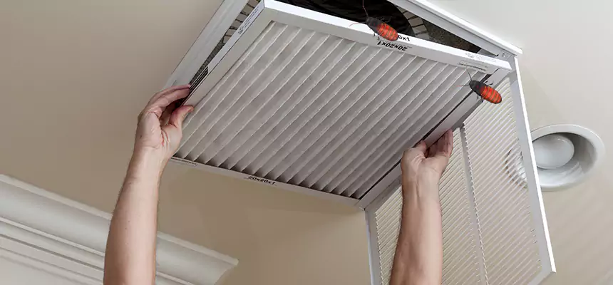 Preventive Cockroach-Proofing for Ducts in Edinburg