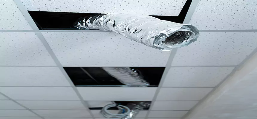 Affordable HVAC Sanitizing After Pest Removal in Edinburg