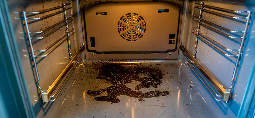 Our Dryer Vent Mold Cleaning Services in Edinburg, TX