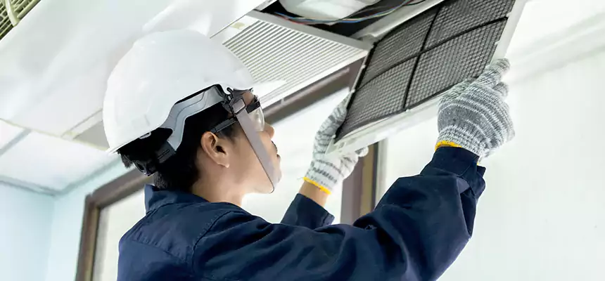 Our Mold & Mildew Removal from Air Ducts Services in Edinburg, TX