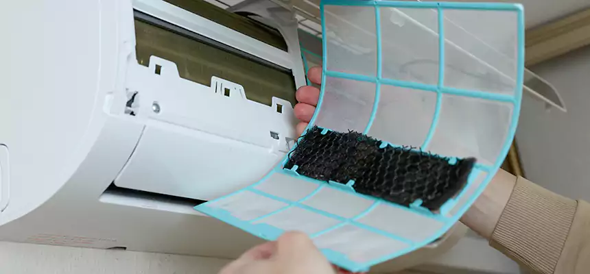 Gentle Ductwork Odor-Control Pet Dander Duct Cleaning in Edinburg, TX