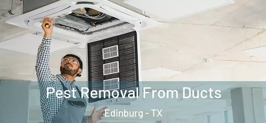 Pest Removal From Ducts Edinburg - TX