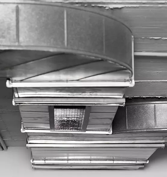 Professional Air Duct Pest Removal in Edinburg, TX