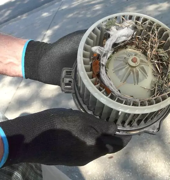 About Air Duct Rat Removal in Edinburg, TX