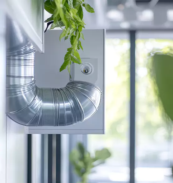 Professional Eco-Friendly Duct Cleaning Services in Edinburg, TX