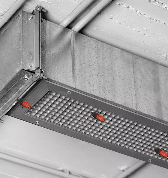 Affordable Insect Removal from Air Ducts in Edinburg, TX