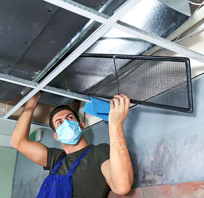 Why Homeowners Businesses Trust Us in Edinburg, TX