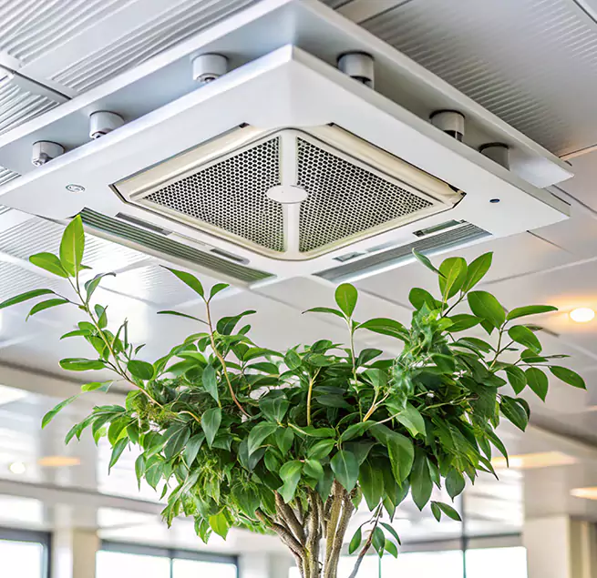 Why Homeowners & Businesses Trust Us in Edinburg, TX?